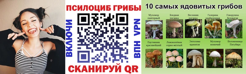 Псилоцибиновые грибы GOLDEN TEACHER  KRAKEN   Вихоревка 