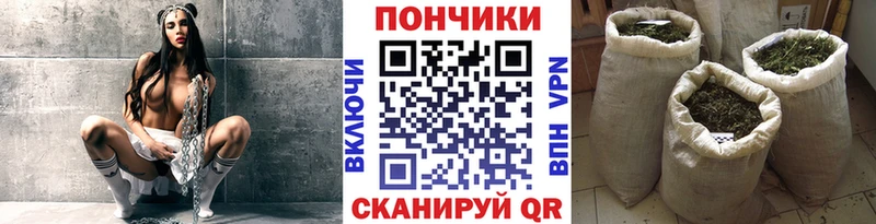 МАРИХУАНА планчик где купить Вихоревка